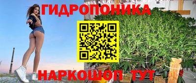 гашик Краснодар