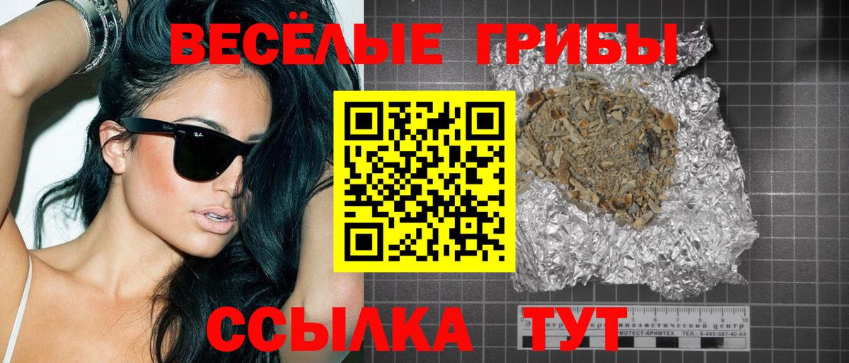 Псилоцибиновые грибы Psilocybine cubensis Зима