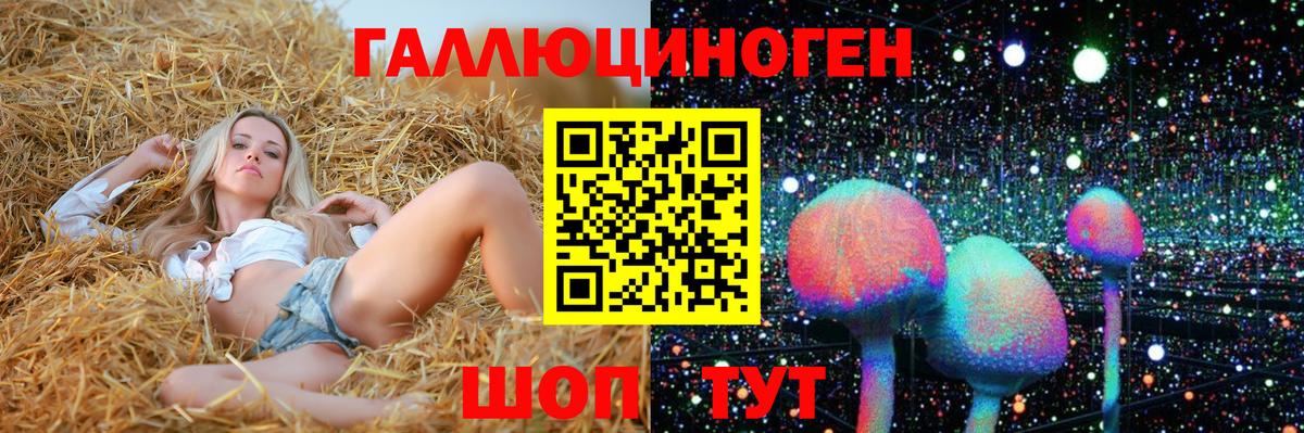 Псилоцибиновые грибы Psilocybe  Вход с VPN  Зима 